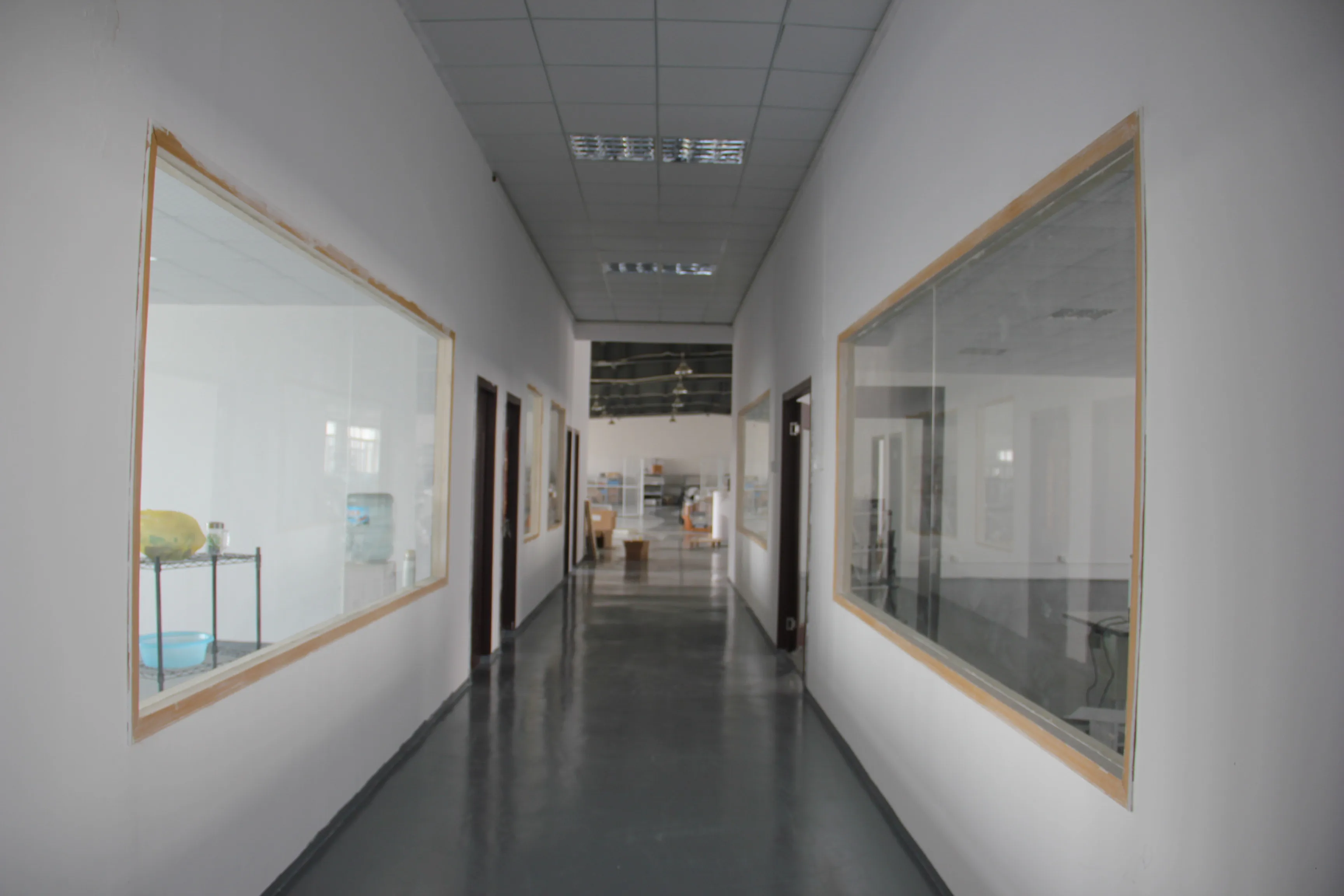 Automatic OCT Optical Coherenc - огляд і ціна Medical Lab Images